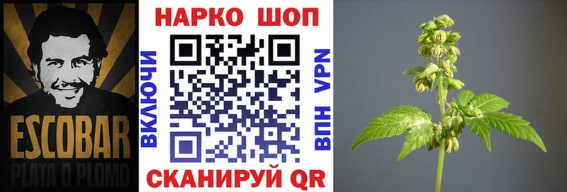 Наркошоп купить ГАШ  Амфетамин  Меф  Галлюциногенные грибы  COCAIN  Конопля  Рассказово