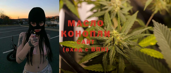 сатива Краснослободск