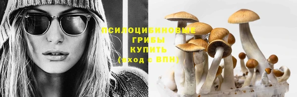 сатива Краснослободск