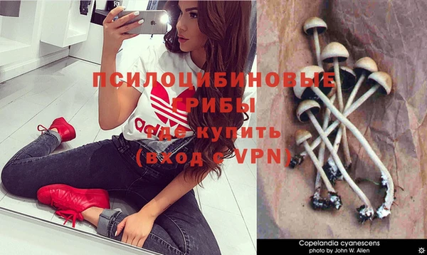 сатива Краснослободск