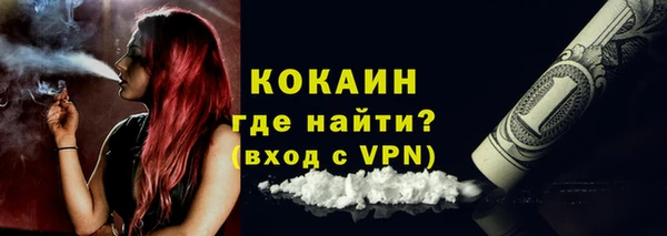 сатива Краснослободск