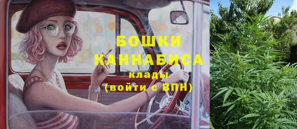 сатива Краснослободск