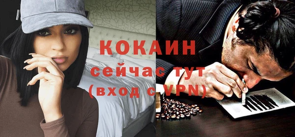 сатива Краснослободск