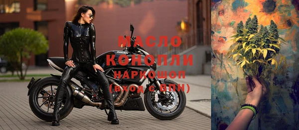 сатива Краснослободск