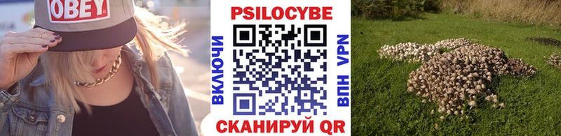 Галлюциногенные грибы Psilocybe  Купить где  Рассказово 